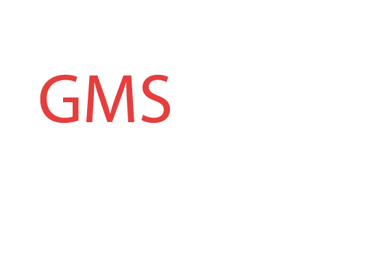 gms-icon